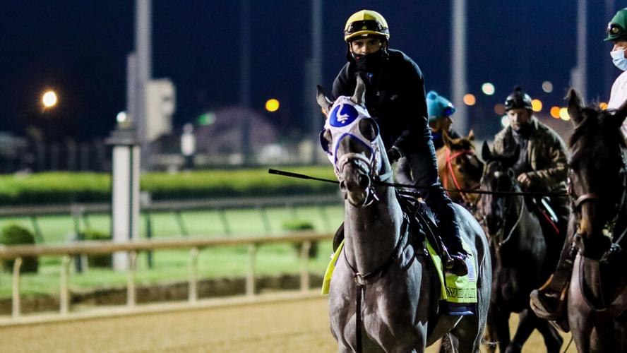 Essential Quality 4 w Saez.jpg