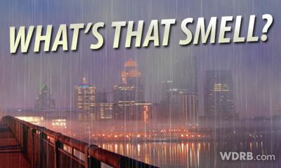 Does Rain Have A Smell