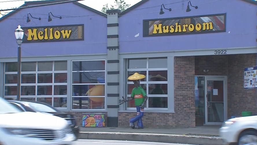 Mellow Mushroom restaurant