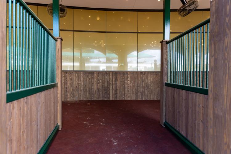 Stable at the Paddock.jpeg