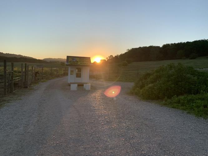 Wilstem Wildlife Park (74).JPG