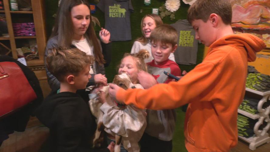 NULU BOCK FEST LAUNCH PARTY.jpeg