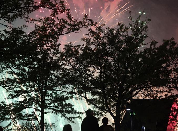 Trees block fireworks.JPG