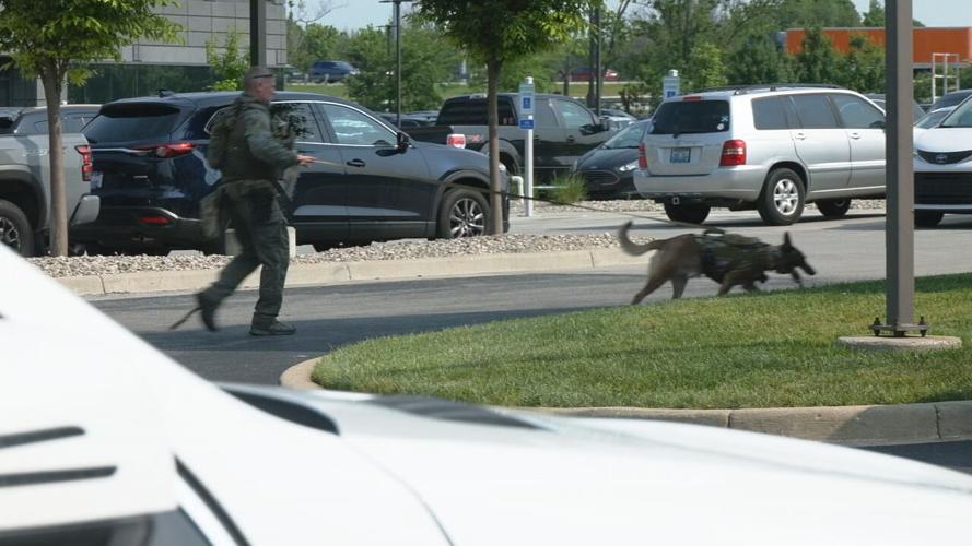 An LMPD officer and K-9 search an area near Springdale Road and Olympia Park Plaza