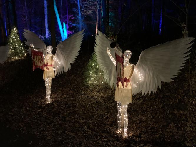 Winter Woods Spectacular (4).JPG