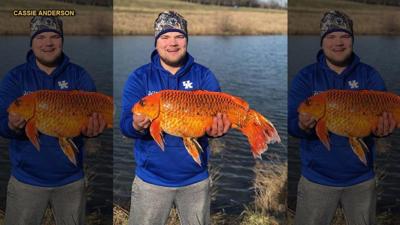 KENTUCKY FISHERMAN - BIG GOLD FISH - VIA FOX NEWS 2-12-19.jpg