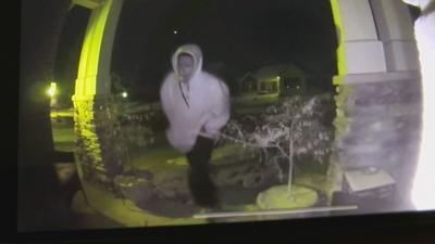 Neighbor shares doorbell video of suspect in police chase that killed K-9 officer