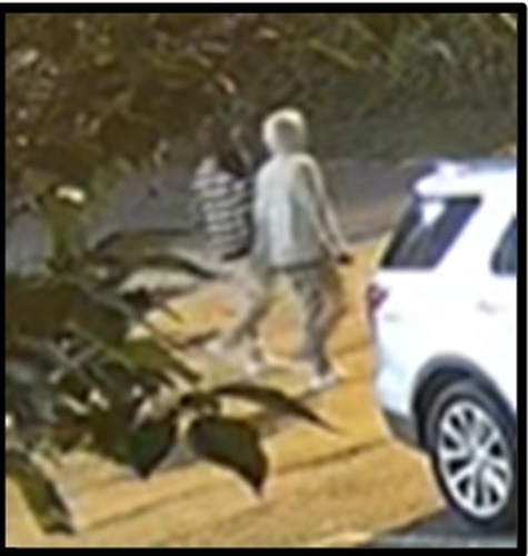 2 Louisville carjacking suspects