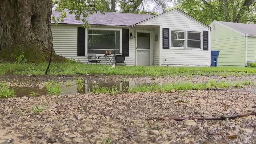 DOZENS OF CATS INSIDE MUNCIE HOME.jpeg