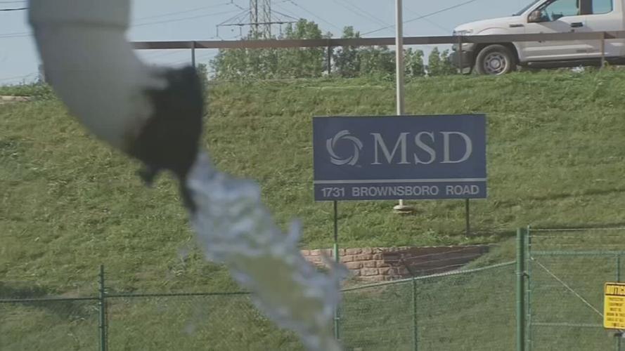 MSD plan on Brownsboro Road .jpeg