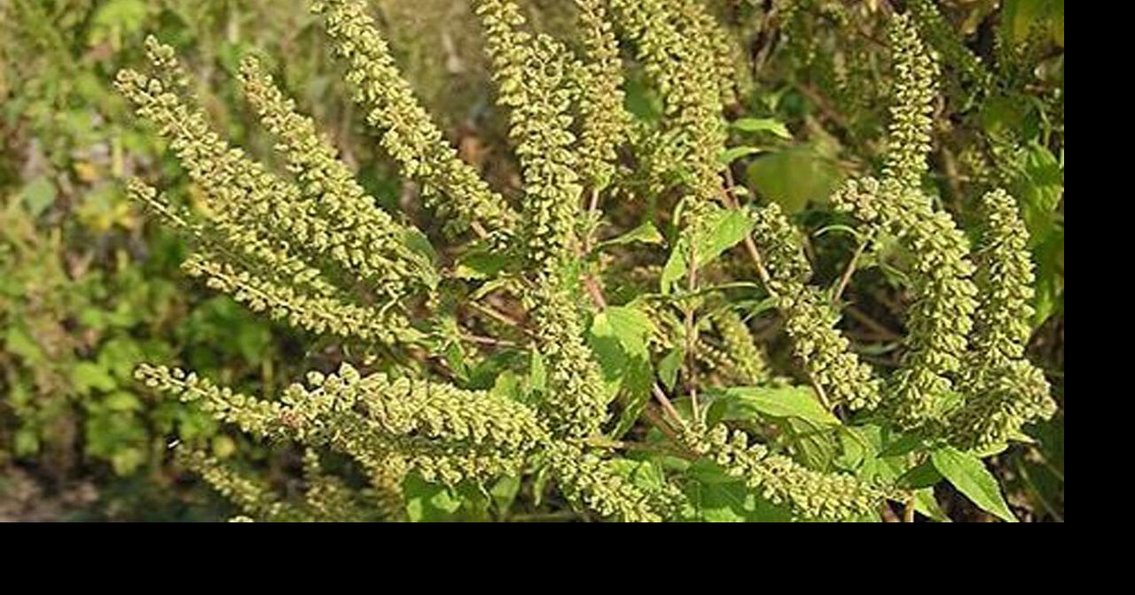 September to be difficult month for Louisvillearea residents with