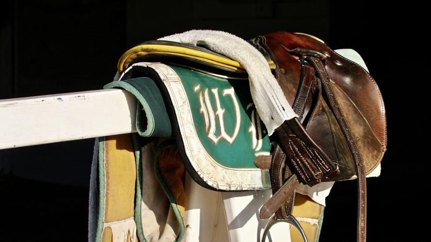 Wayne Lukas saddle