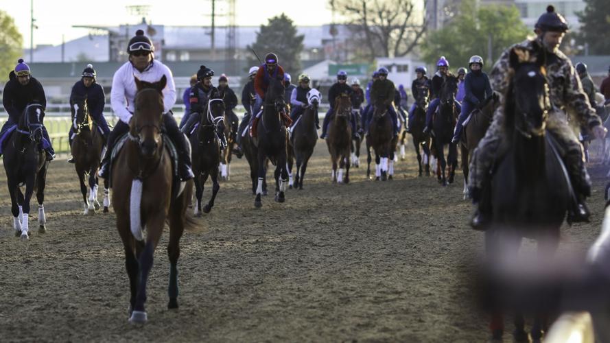 Wall of horses