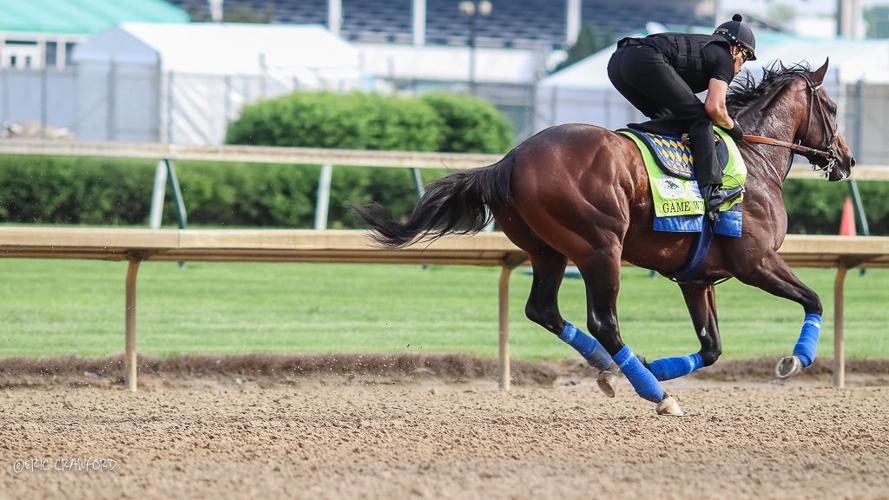 Training - Game Winner