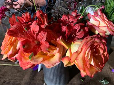 NORTON COMMONS FARMERS' MARKET.jpg