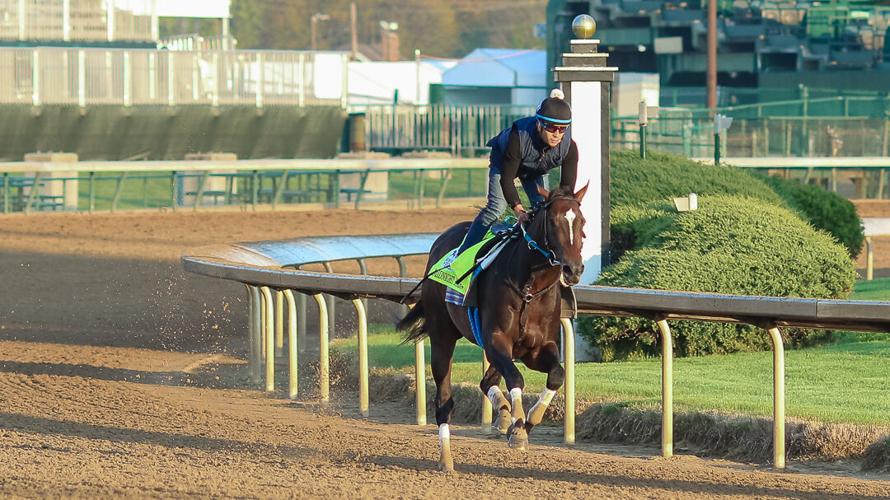 Midnight Bourbon turn.jpg