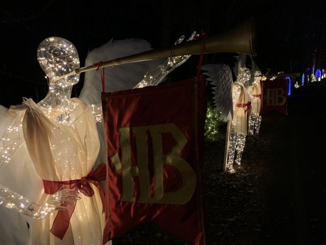 Winter Woods Spectacular (5).JPG