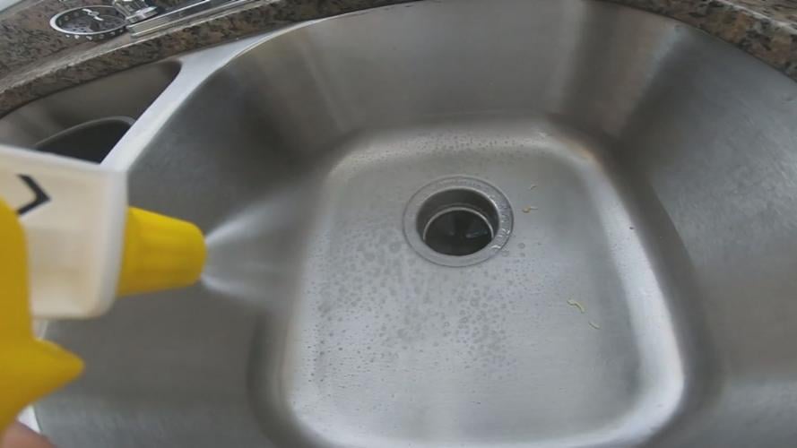 Sanitizier spray bottle kitchen sink generic.jpg