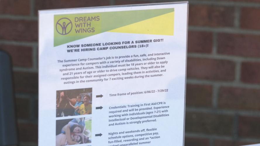 Dream With Wings flyer.jpeg