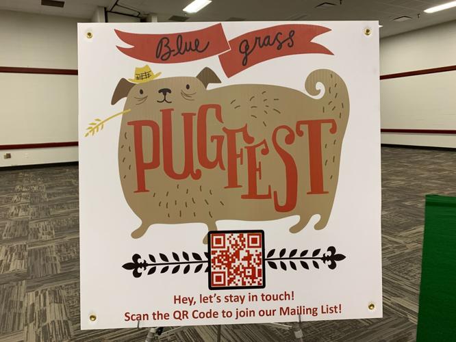 Pugfest 1.jpg
