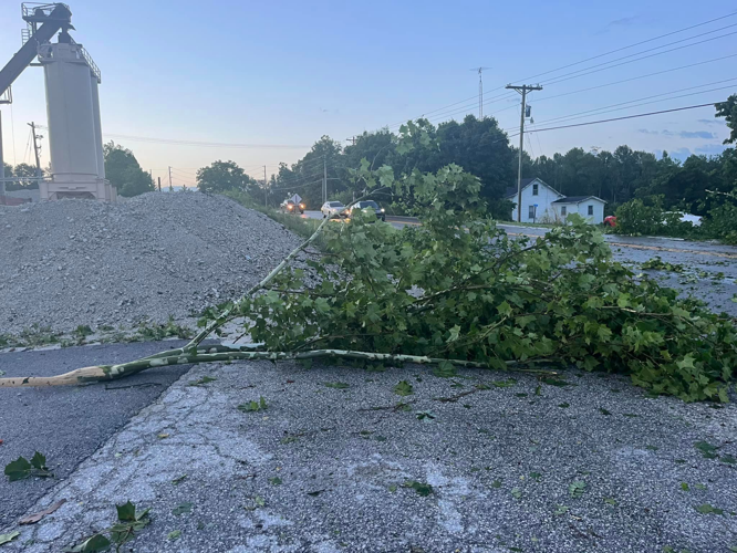 Downed tree limbs near road in Paoli, Indiana