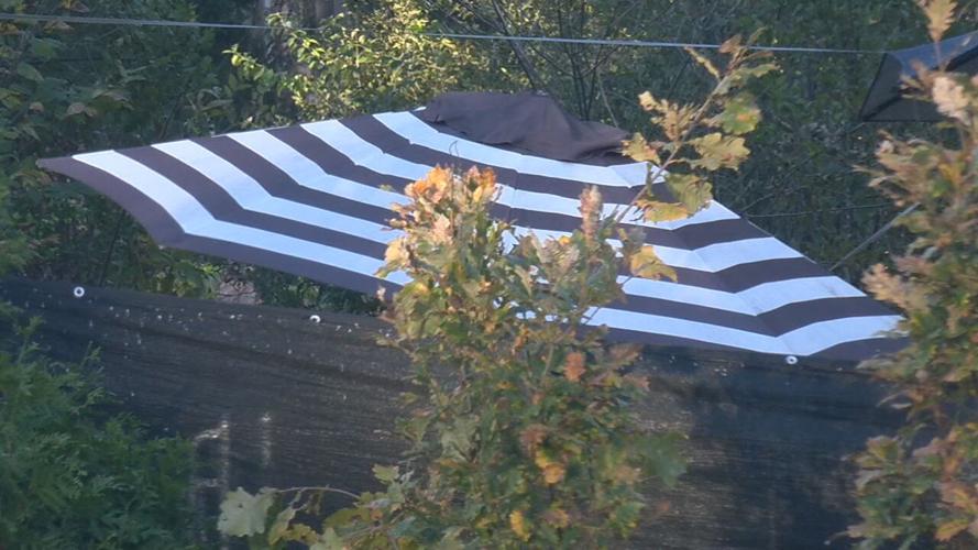 HOMELESS CAMP - 9TH AND MARKET STREETS 11-1-2021  (2).jpeg