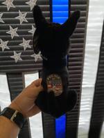 Mt. Washington Police Department selling stuffed replicas of K-9 officer Bane
