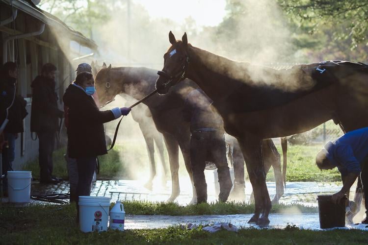 Pletcher barn in the morning 1.jpg