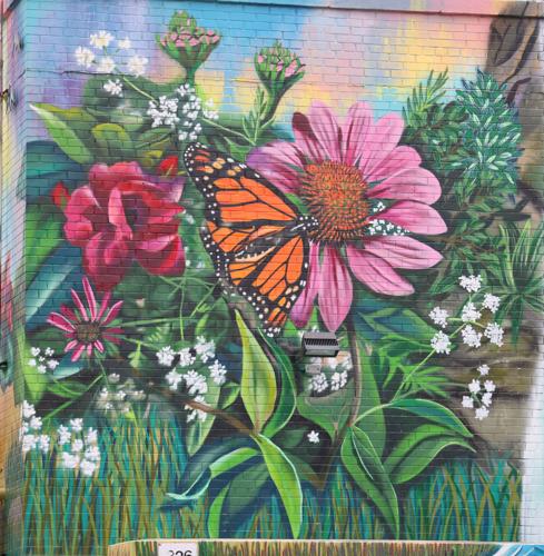 Flowers, butterflies in downtown Louisville mural.JPG