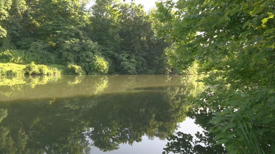 Willow Pond at Cherokee Park