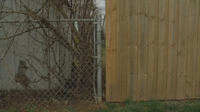 New Albany fence ordinance