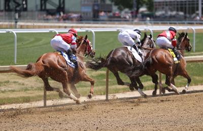 Horses pass the first turn after race.JPG