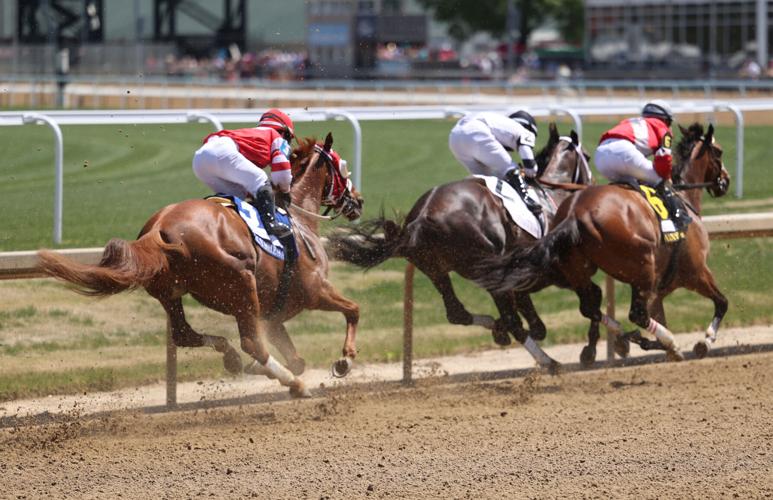 Horses pass the first turn after race.JPG