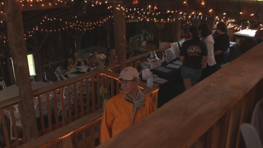 BATS FESTIVAL.jpeg
