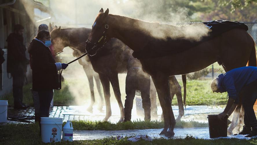 Pletcher barn in the morning 2.jpg