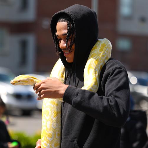 Snake held by male at parade.JPG