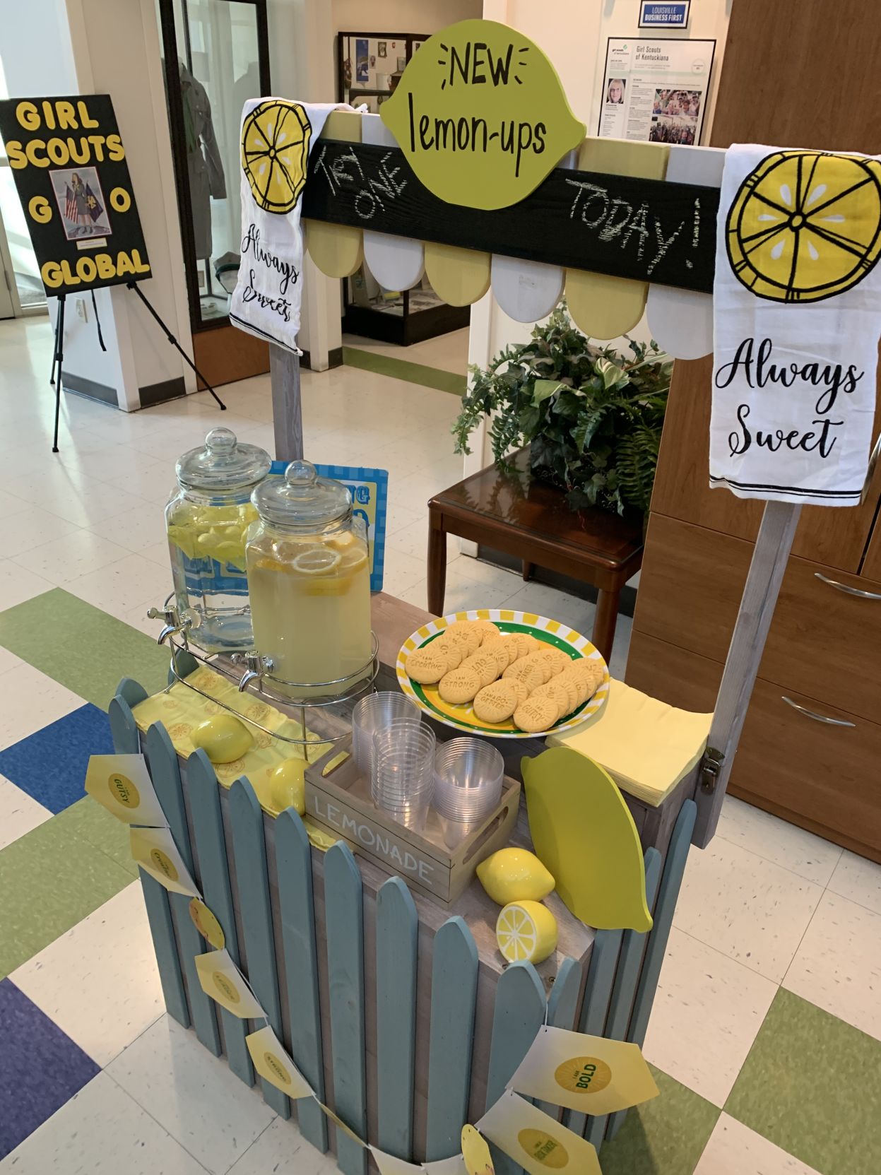 NEW GIRL SCOUT COOKIE - 1-7-2020  (8).jpg