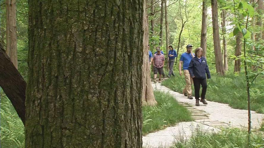 Moss Gibbs Woodland Garden opens in Parklands of Floyds Fork 5-10-19