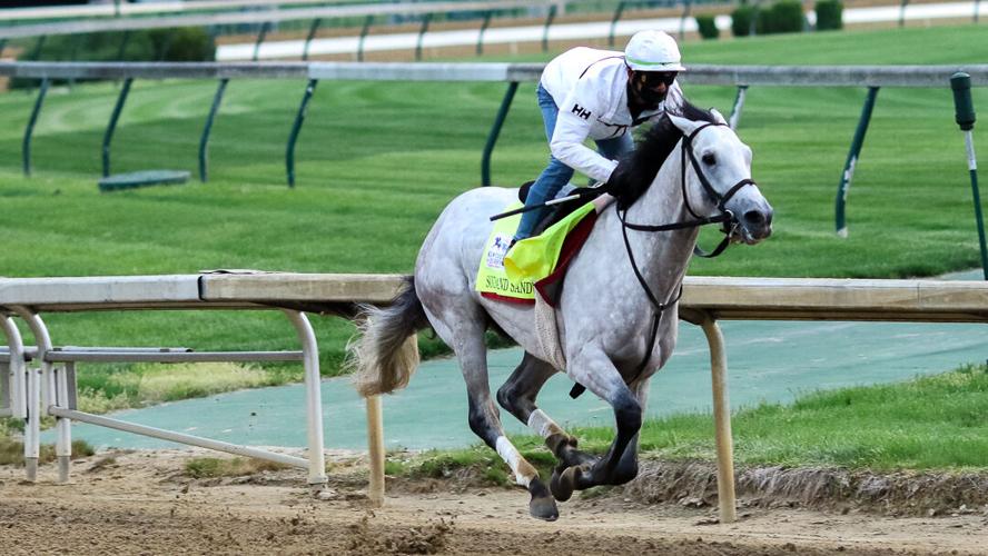 Soup and Sandwich 1.jpg