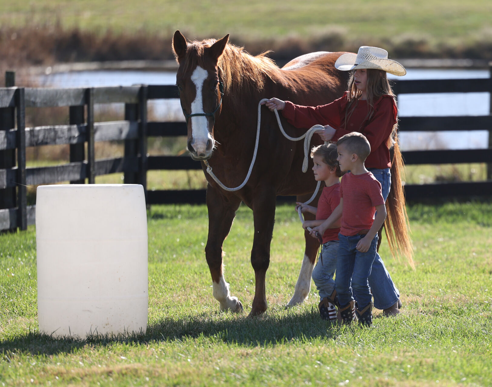 Meet the Horses