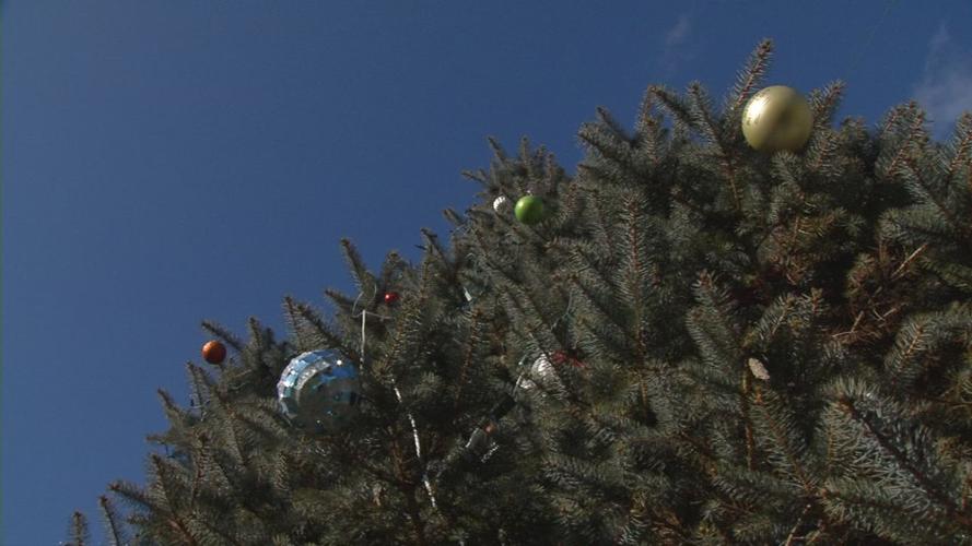 Remembrance tree 4