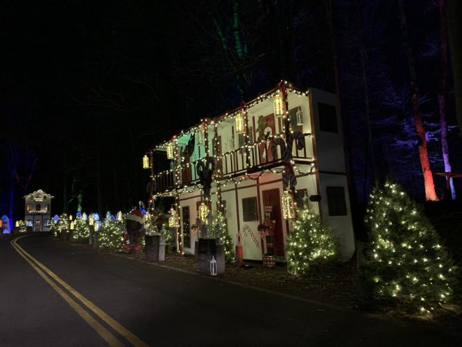 Winter Woods Spectacular (6).JPG