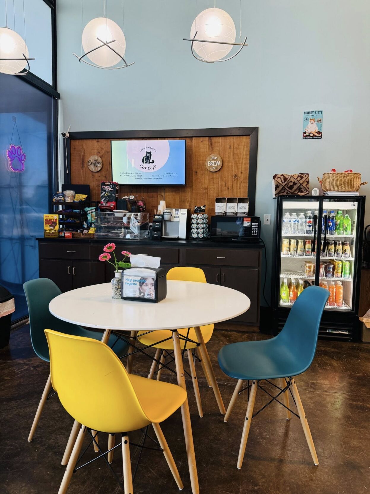 IMAGES | Lucy & Oscar’s Cat Café