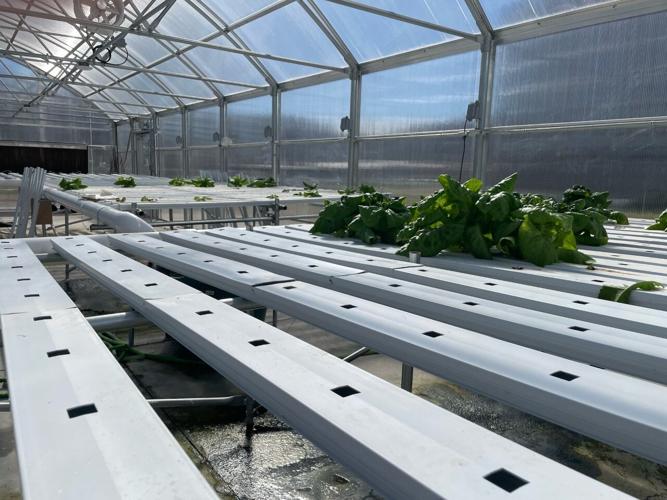 Carroll County Hydroponic Farm