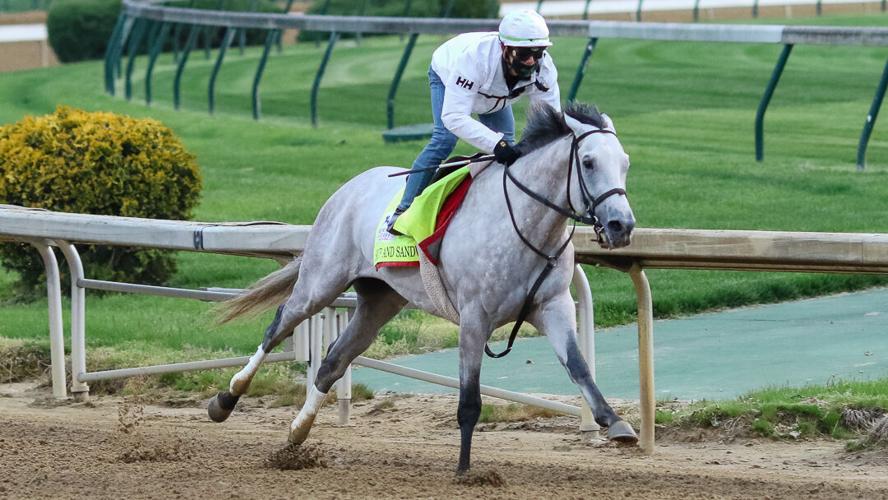 Soup and Sandwich 2.jpg