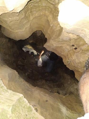 Dog rescued from Harrison County cave (2).jfif
