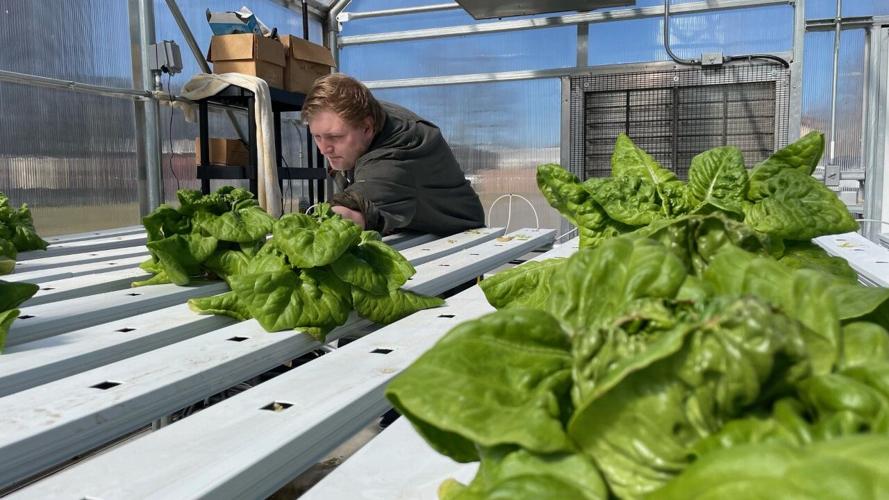 Carroll County Hydroponic Farm