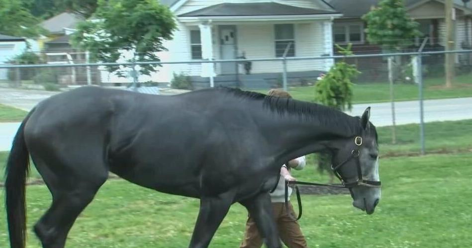 Silent Tactic scratched from Kentucky Derby with foot issue; Great White moves into field