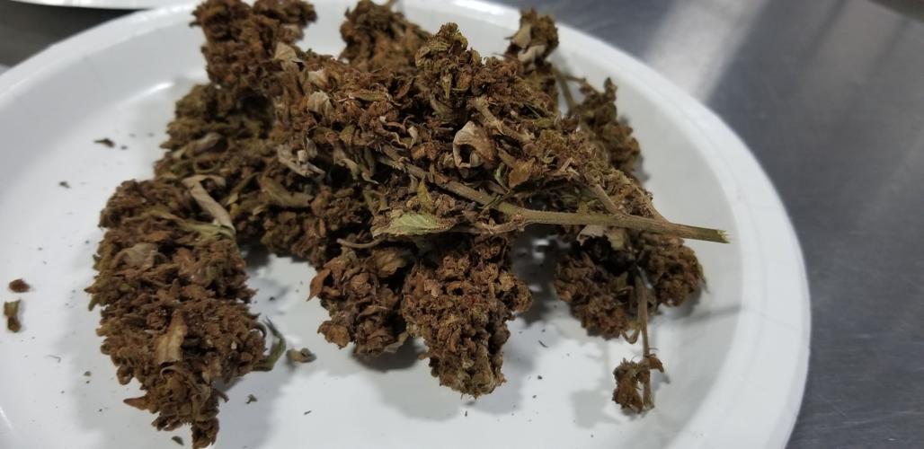 HEMP - CBD PRODUCTS - MCCONNELL PRESSER 7-2-19  - TOM ROUND (6).jpg