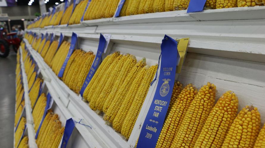 KENTUCKY STATE FAIR 2019 - AGRICULTURE  (9).jpg